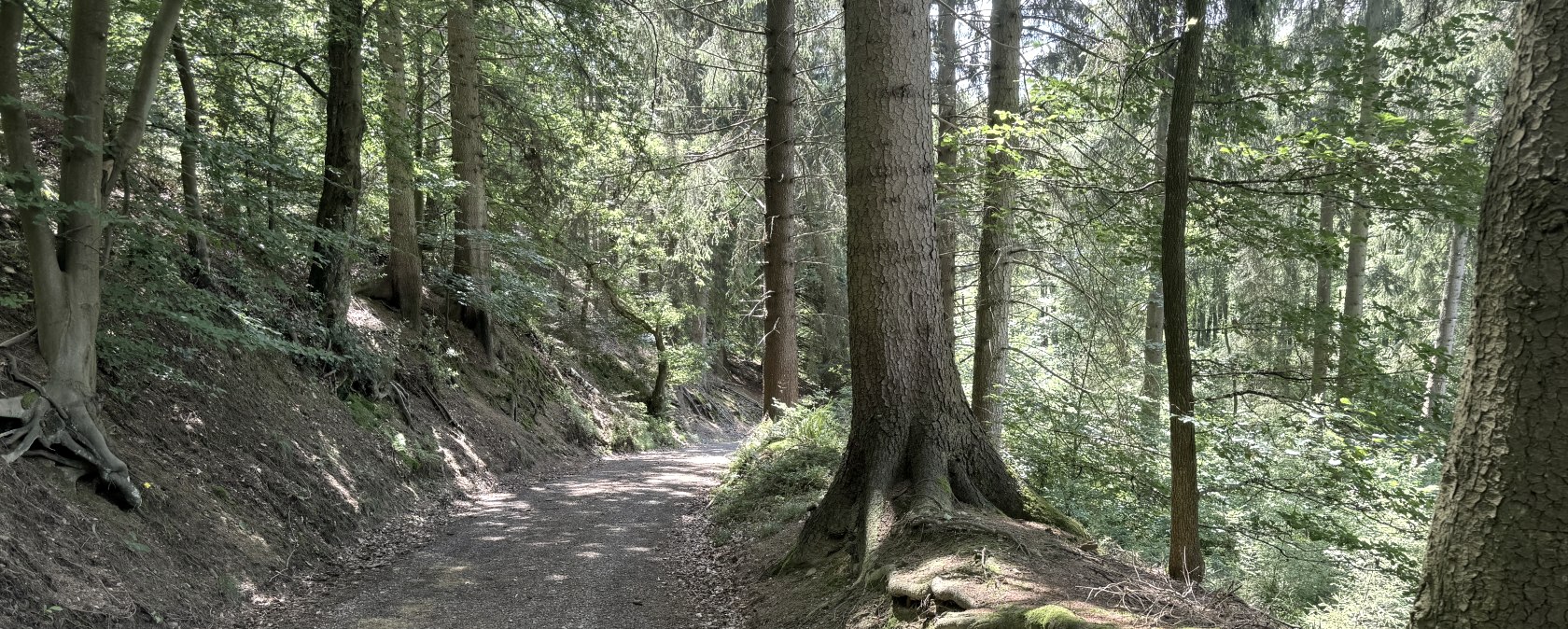 Entlang der Tour, © Rureifel-Tourismus e.V., Dennis Winands Entlang der Tour, © Rureifel-Tourismus e.V., Dennis Winands