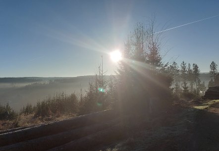 Morgenglanz Vichttal November (co) Theißen-Braun Morgenglanz Vichttal November (co) Theißen-Braun