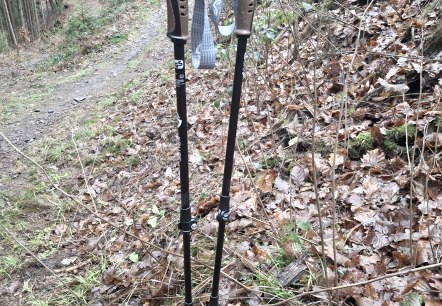 Wanderstöcke Wanderstöcke