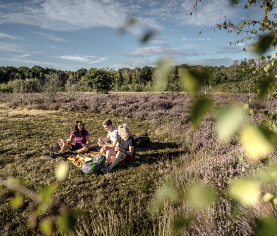 Picnic in the Drover Heath., © Dennis Stratmann | Kreis Düren Picnic in the Drover Heath., © Dennis Stratmann | Kreis Düren