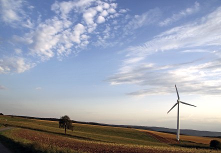 Blick in die Börde rund um Nideggen, © Ulrich Laube - Rureifel-Tourismus e.V. Blick in die Börde rund um Nideggen, © Ulrich Laube - Rureifel-Tourismus e.V.