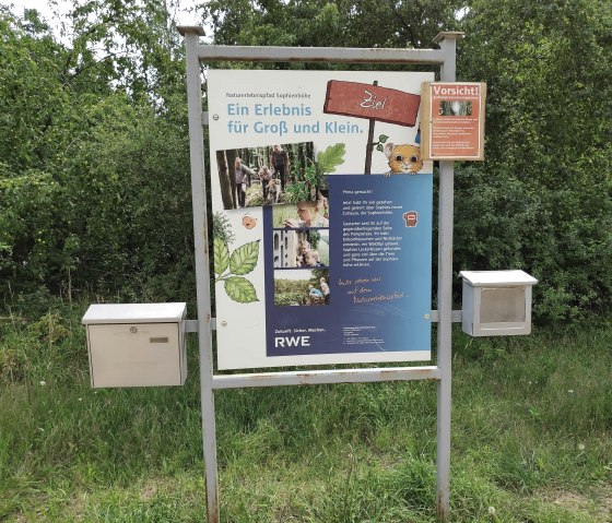 Sentier de découverte de la nature sur la Sophienhöhe, © Sophia Eckerle Sentier de découverte de la nature sur la Sophienhöhe, © Sophia Eckerle