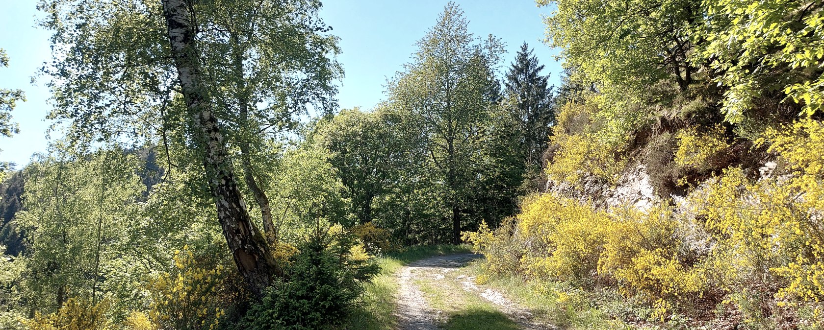 Sommerweg Tiefenbachtal (co) Theißen-Braun Sommerweg Tiefenbachtal (co) Theißen-Braun