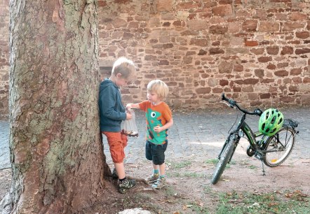 Kastanien sammeln auf Burg Nideggen, © Paul Meixner | www.die-wasserburgen-route.de Kastanien sammeln auf Burg Nideggen, © Paul Meixner | www.die-wasserburgen-route.de