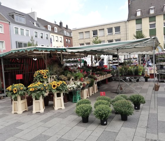 Dürener Wochenmarkt Blumenstand, © Win.dn GmbH Dürener Wochenmarkt Blumenstand, © Win.dn GmbH