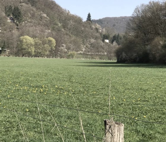 Ausblick Ausblick