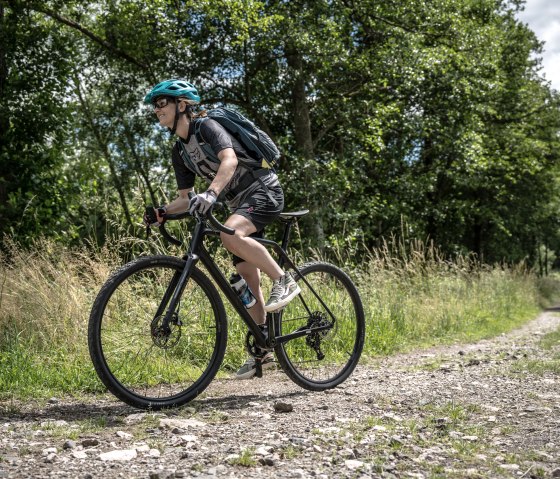 Freifahrt Eifel_Waldpassage Nonnenbach © Eifel Tourismus GmbH, DennisStratmann-04501, © Dennis Stratmann | Eifel Tourismus GmbH Freifahrt Eifel_Waldpassage Nonnenbach © Eifel Tourismus GmbH, DennisStratmann-04501, © Dennis Stratmann | Eifel Tourismus GmbH