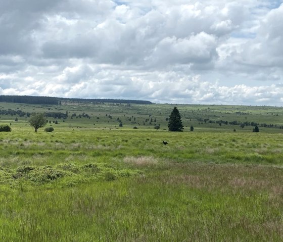 WhatsApp Image 2021-07-11 at 22.42.42 (5) WhatsApp Image 2021-07-11 at 22.42.42 (5)