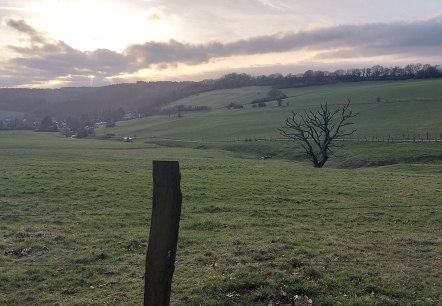 Vichttal Wiesen März Vichttal Wiesen März