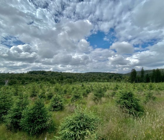 WhatsApp Image 2021-07-11 at 22.42.42 (8) WhatsApp Image 2021-07-11 at 22.42.42 (8)