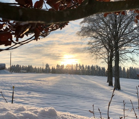 Schnee Monschau Höfen, © Eife(e)l-Home Schnee Monschau Höfen, © Eife(e)l-Home