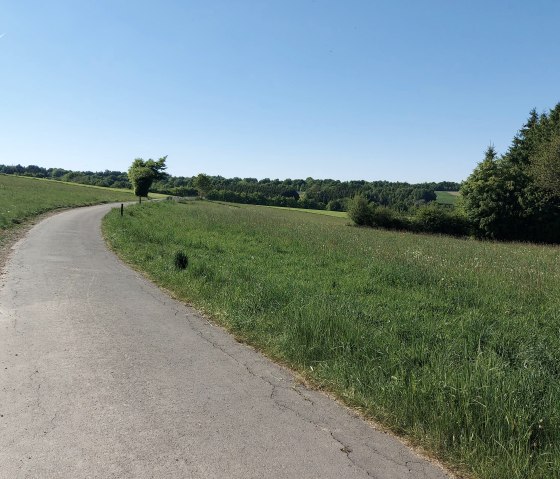 Weisenaussicht Huppenbroich Juli-August (co) Theiß Weisenaussicht Huppenbroich Juli-August (co) Theiß