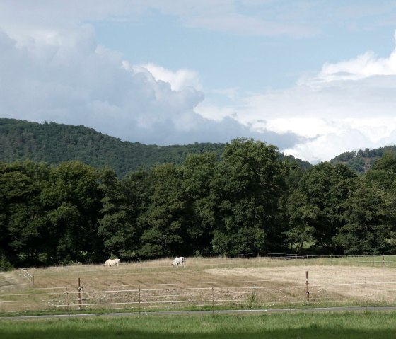 Aussicht Blens, © Eifel heimisch Aussicht Blens, © Eifel heimisch