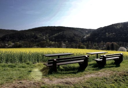 Pause mit Aussicht ins Rapsfeld Pause mit Aussicht ins Rapsfeld