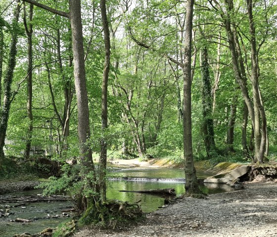 Entlang der Kall, © Rureifel-Tourismus e.V. Entlang der Kall, © Rureifel-Tourismus e.V.