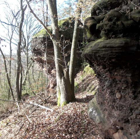 Red sandstone rocks, © Eifel heimisch Red sandstone rocks, © Eifel heimisch