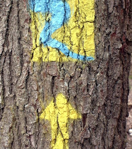 Spray coating Spray coating