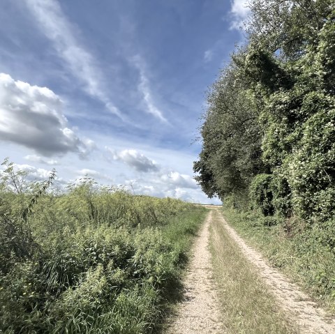 IMG_3369, © Rureifel-Tourismus e.V., Michelle Wiesen IMG_3369, © Rureifel-Tourismus e.V., Michelle Wiesen