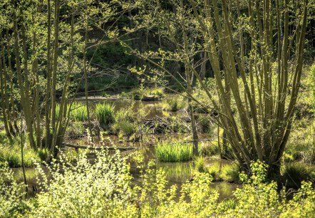 Omerbachtal, © Kupferstadt Stolberg, Dominik Ketz Omerbachtal, © Kupferstadt Stolberg, Dominik Ketz