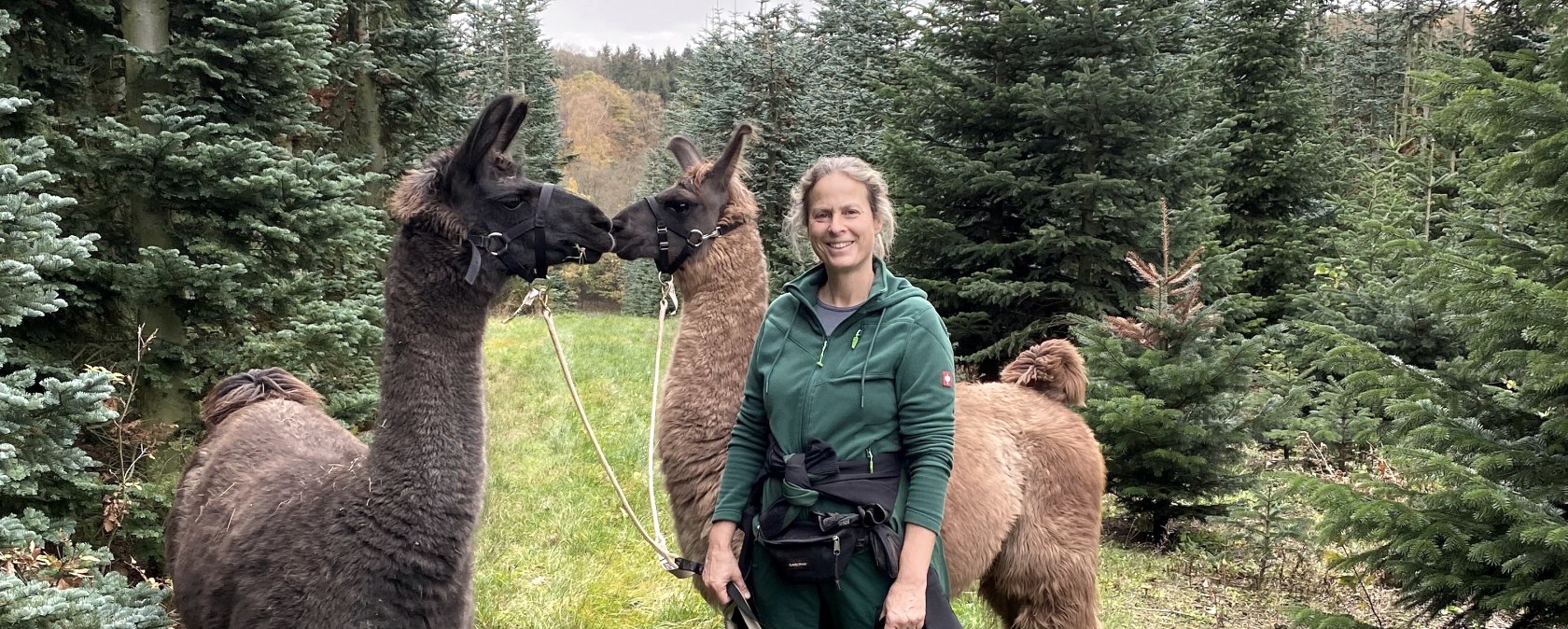 Waldbaden mit Lamas und Alpakas, © Anne Knein Waldbaden mit Lamas und Alpakas, © Anne Knein