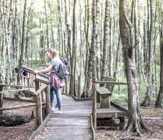 Bodenlehrpfad Todtenbruch, © Kreis Düren, Dennis Stratmann Bodenlehrpfad Todtenbruch, © Kreis Düren, Dennis Stratmann