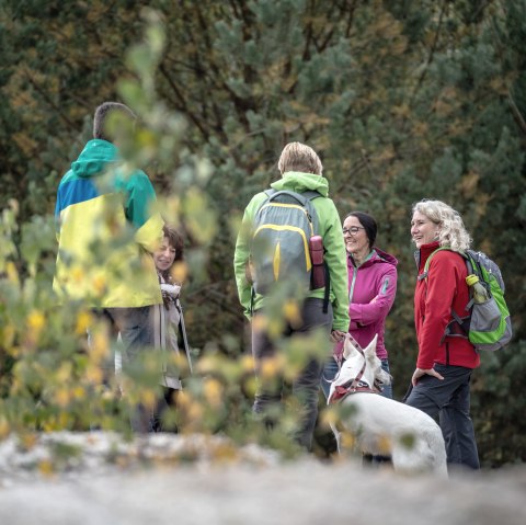 Höller Hoorn op de Sophienhöhe, © Dennis Stratmann | Kreis Düren Höller Hoorn op de Sophienhöhe, © Dennis Stratmann | Kreis Düren