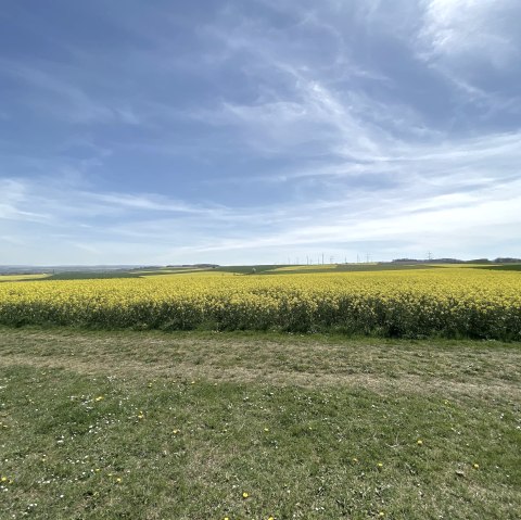 Wollersheimer Bördelandschaft, © Rureifel-Tourismus e.V. Wollersheimer Bördelandschaft, © Rureifel-Tourismus e.V.