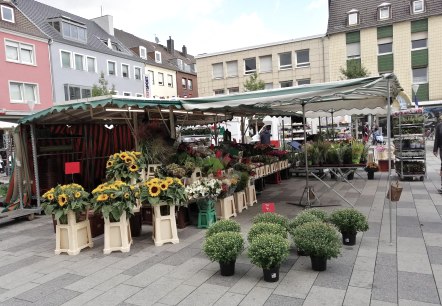 Dürener Wochenmarkt Blumenstand, © Win.dn GmbH Dürener Wochenmarkt Blumenstand, © Win.dn GmbH