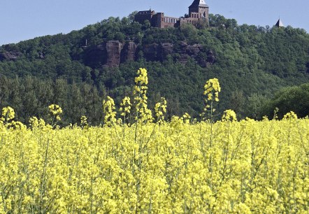 burg-nideggen burg-nideggen