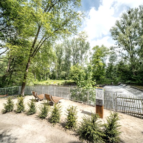 Rast- & Erlebnisort am Rurwehr bei Linnich, © Dennis Stratmann | Grünmetropole e.V. Rast- & Erlebnisort am Rurwehr bei Linnich, © Dennis Stratmann | Grünmetropole e.V.