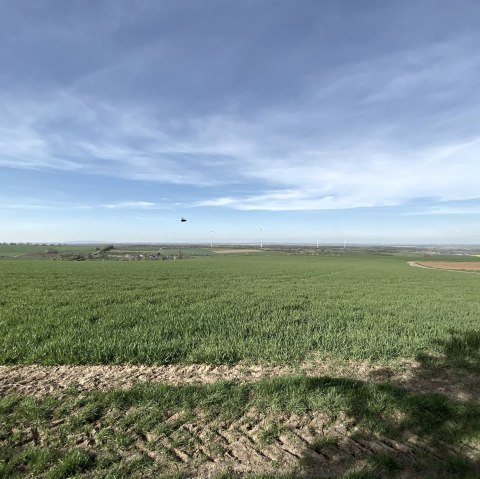 Weitsichten in der Bördelandschaft, © Rureifel-Tourismus e.V. Weitsichten in der Bördelandschaft, © Rureifel-Tourismus e.V.