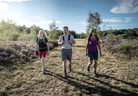 Drover Heide, © Dennis Stratmann | Kreis Düren Drover Heide, © Dennis Stratmann | Kreis Düren