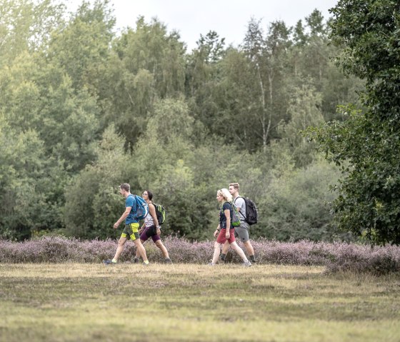 Drover Heide, © Dennis Stratmann | Kreis Düren Drover Heide, © Dennis Stratmann | Kreis Düren