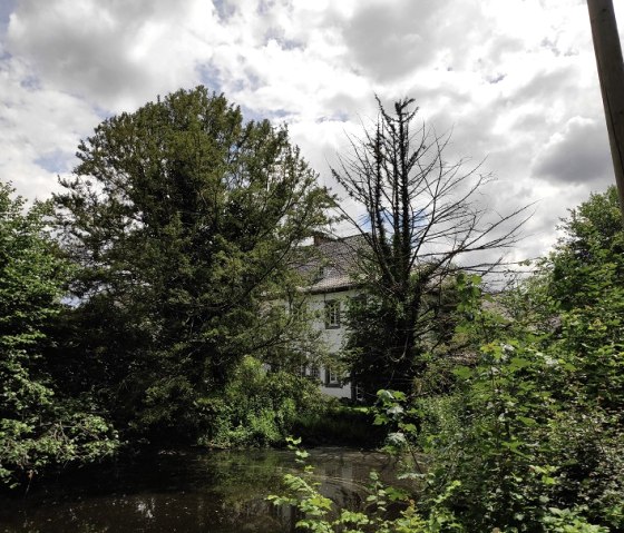 Gut Weyern im Wald von Schloss Burgau, © Sophia Eckerle Gut Weyern im Wald von Schloss Burgau, © Sophia Eckerle