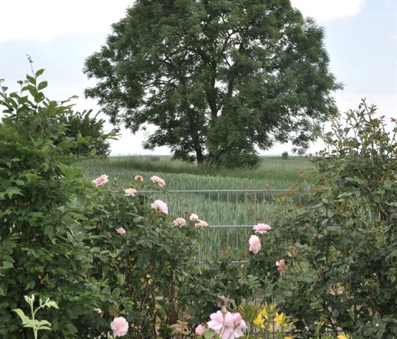 DSC_0075, © www.rureifel-fewo.de DSC_0075, © www.rureifel-fewo.de