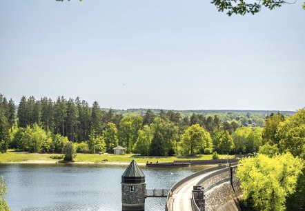 Dreilägerbachtalsperre, © Eifel Tourismus GmbH, Dominik Ketz Dreilägerbachtalsperre, © Eifel Tourismus GmbH, Dominik Ketz