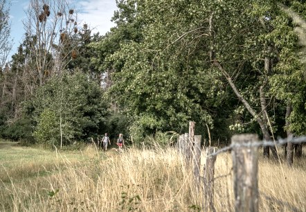 Drover Heide, © Dennis Stratmann | Kreis Düren Drover Heide, © Dennis Stratmann | Kreis Düren