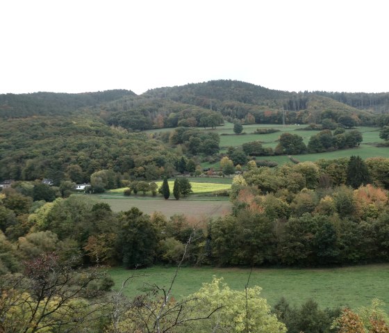 Aussicht Hausener Busch, © Eifel heimisch Aussicht Hausener Busch, © Eifel heimisch