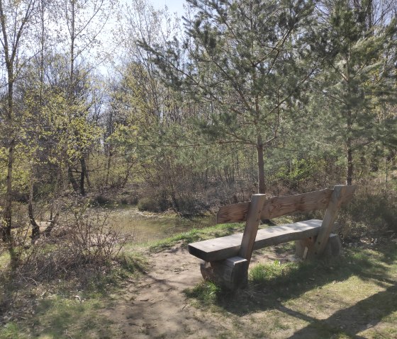 Ruhebank in der Drover Heide., © Sophia Eckerle Ruhebank in der Drover Heide., © Sophia Eckerle