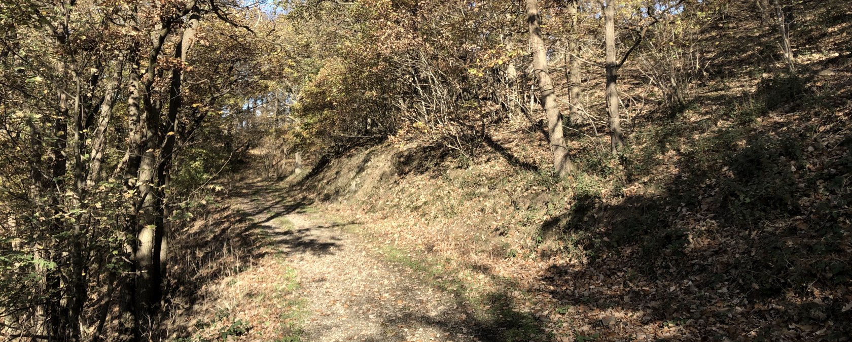 Wanderung Nr. 68, © Rureifel-Tourismus e.V. Wanderung Nr. 68, © Rureifel-Tourismus e.V.