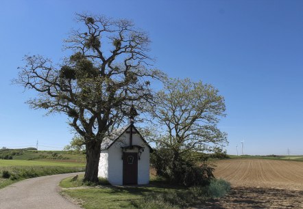 Antoniuskapelle Antoniuskapelle