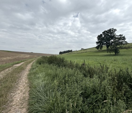 IMG_7655, © Rureifel-Tourismus e.V., Dennis Winands IMG_7655, © Rureifel-Tourismus e.V., Dennis Winands