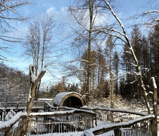 Schneespaß am Wilden Kermeter Schneespaß am Wilden Kermeter