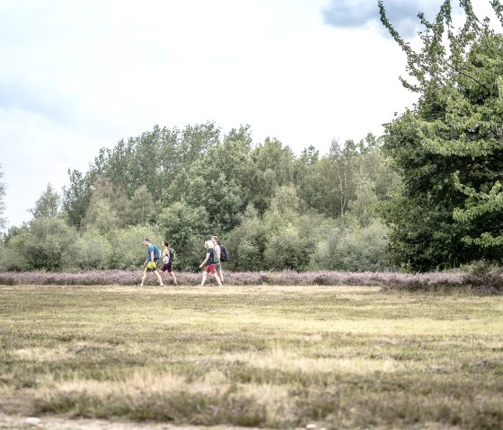 Droverheide, © Dennis Stratmann | Kreis Düren Droverheide, © Dennis Stratmann | Kreis Düren