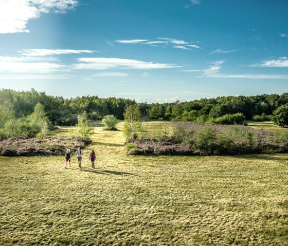 Droverheide, © Dennis Stratmann | Kreis Düren Droverheide, © Dennis Stratmann | Kreis Düren