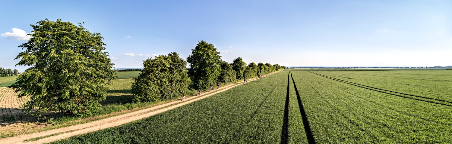 Mit dem Fahrrad den VIA-Erlebnisraum Römerstraße entdecken, © VIA-Erlebnisraum Römerstraße e.V. / Patrick Gawandtka Mit dem Fahrrad den VIA-Erlebnisraum Römerstraße entdecken, © VIA-Erlebnisraum Römerstraße e.V. / Patrick Gawandtka