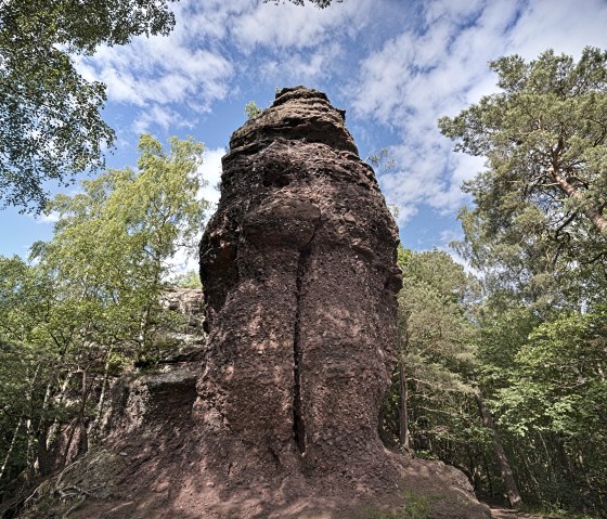 Bizarre Formen, aber unglaublich schön, © Achim Meurer | www.achimmeurer.com Bizarre Formen, aber unglaublich schön, © Achim Meurer | www.achimmeurer.com