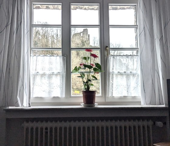 Gardinen B6,2 Gardinen B6,2