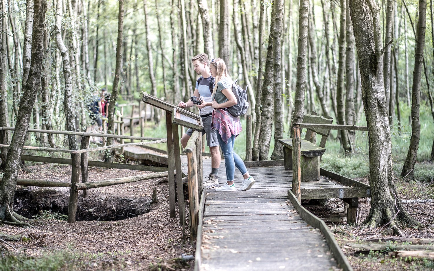 Der 4,5 Kilometer lange Bodenlehrpfad Todtenbruch in Hürtgenwald-Raffelsbrand führt auf circa 700 Metern über Holzbohlen durch ein einzigartiges Hochmoor., © Dennis Stratmann / Kreis Düren Der 4,5 Kilometer lange Bodenlehrpfad Todtenbruch in Hürtgenwald-Raffelsbrand führt auf circa 700 Metern über Holzbohlen durch ein einzigartiges Hochmoor., © Dennis Stratmann / Kreis Düren