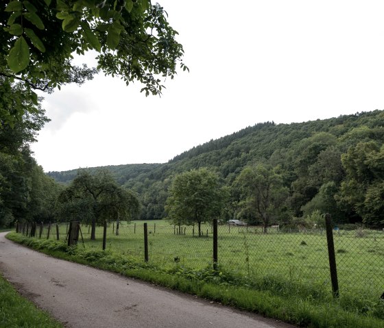 Naturschutzgebiet unteres Kalltal, © some.oner Naturschutzgebiet unteres Kalltal, © some.oner